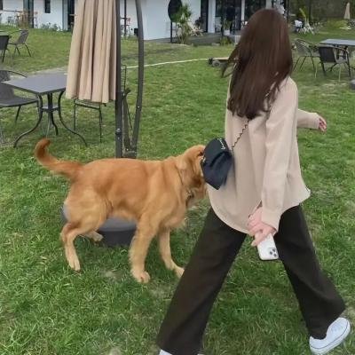 天宝伏妖录 海报